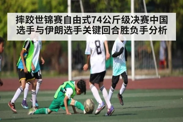 摔跤世锦赛自由式74公斤级决赛中国选手与伊朗选手关键回合胜负手分析